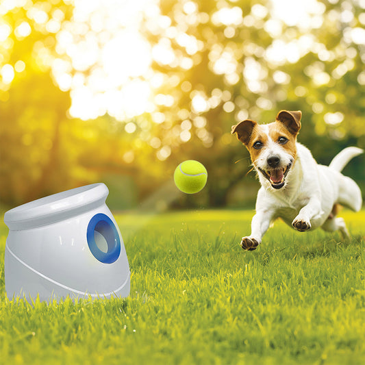 Spunky Pup Automatic Tennis Ball Launcher