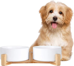 Ceramic Dog Bowls - review author: Wendy Byrde